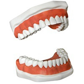 dentures-and-partial-dentures