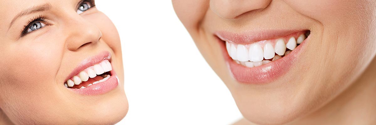 Elite Family & Cosmetic Dentistry Privacy Policy - Florence Dentist